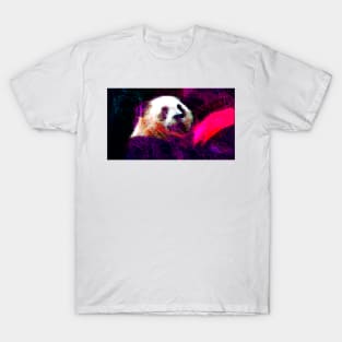 PandaPanda T-Shirt